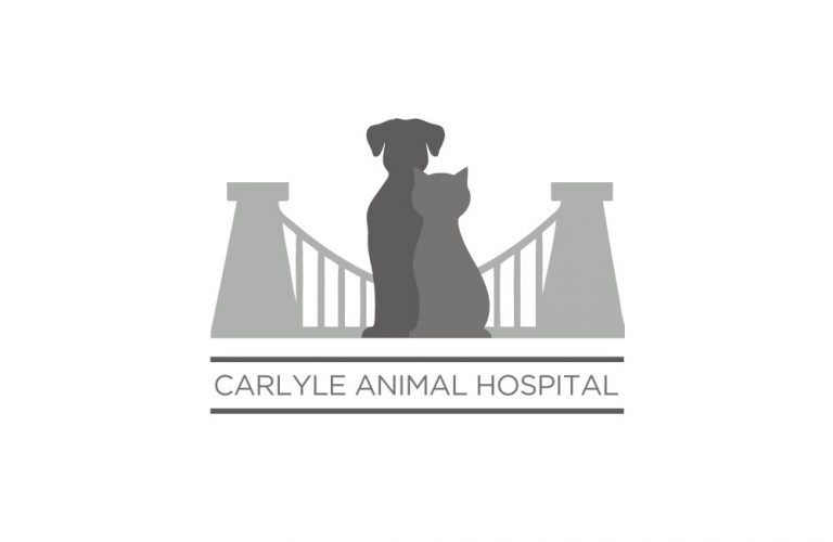 Serpentine  Solutions Carlyle, Illinois